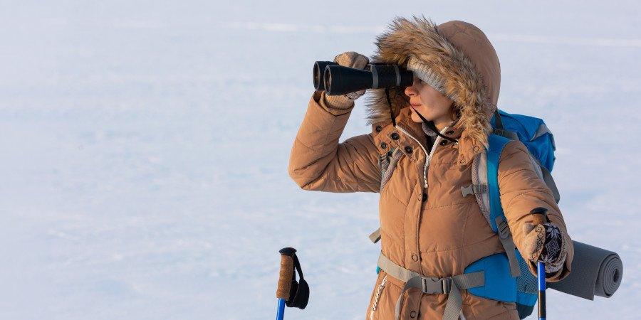 Come veri esploratori dell’artico